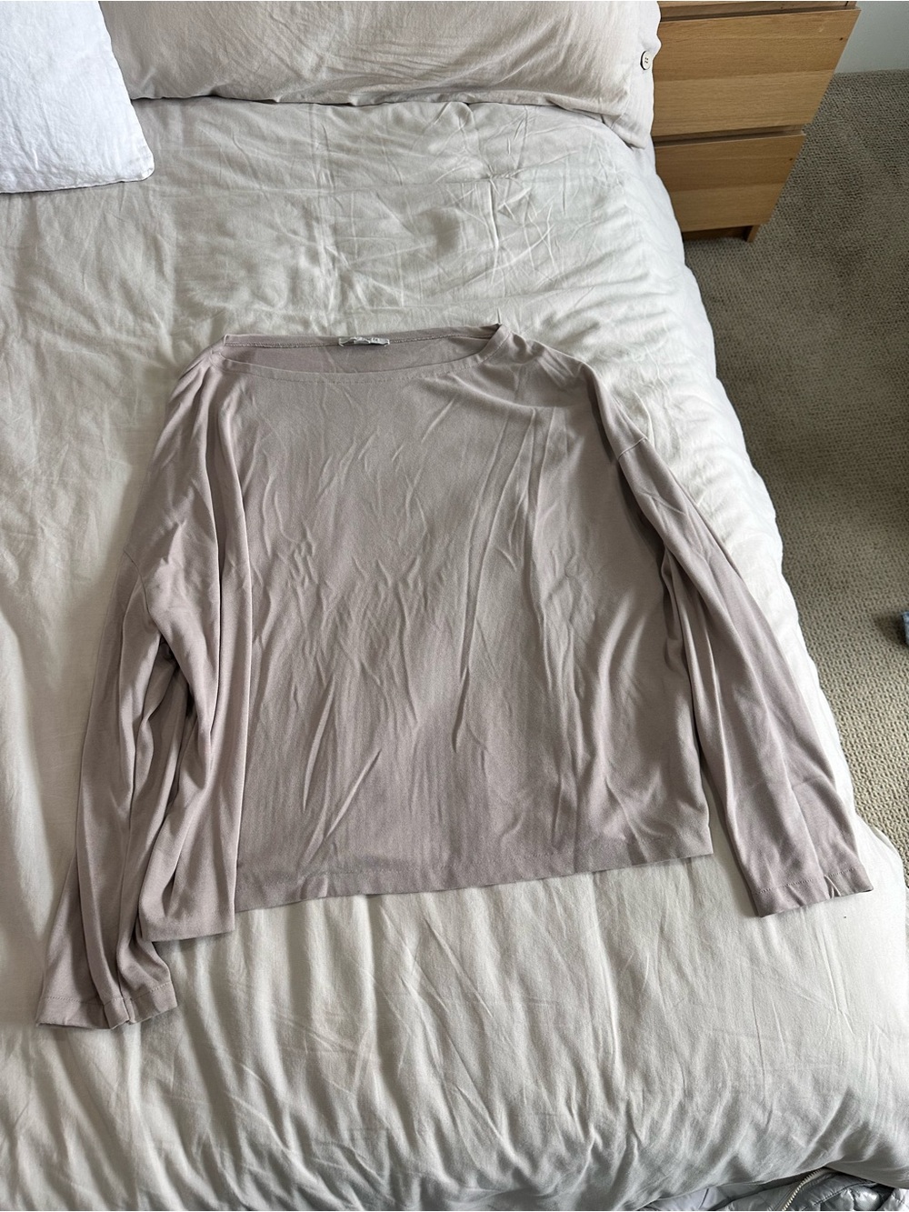 AllSaints Long Sleeve Crewneck Top in Light Taupe